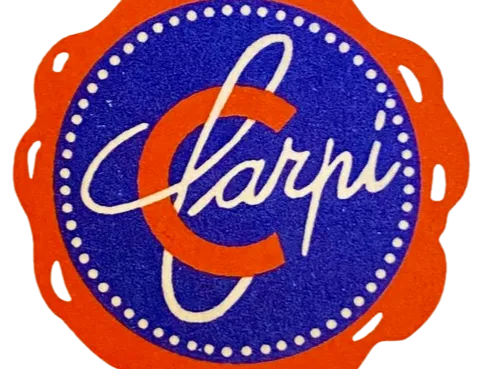 Carpi logo studio pixel