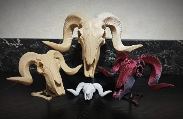 https://makerworld.bblmw.com/makerworld/model/US5c37c49be6300c/design/2024-04-21_7d63d67a1e968.jpg