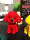 0.16mm dog multicolor