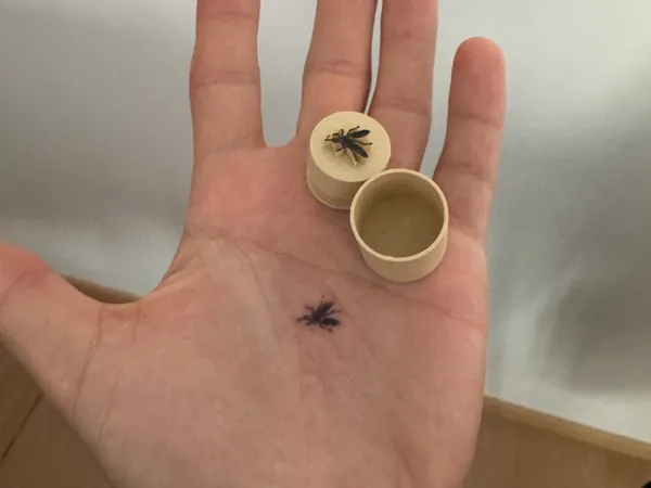 https://makerworld.bblmw.com/makerworld/model/US5c41deba95896f/design/940f8b49d5162718.jpg