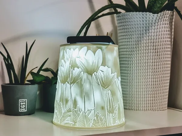 https://makerworld.bblmw.com/makerworld/model/US5c4603f27fca5d/design/2024-11-14_29a6982f9017d.jpg