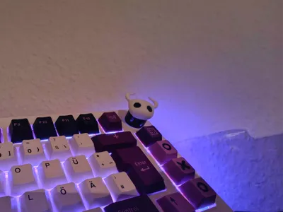 NO AMS | Hollow Knight Keyboard Knob