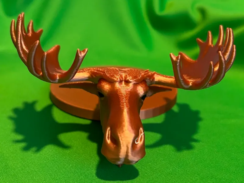 Moose Coaster