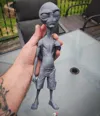0.08mm layer, 2 walls, 20% infill