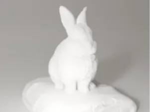 rabbit miniature