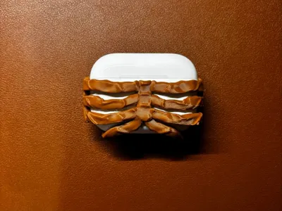 AirPods Pro 1 skeleton cover