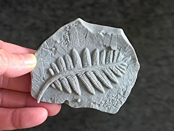 https://makerworld.bblmw.com/makerworld/model/US5c59c6d1bad5d9/design/2025-09-16_2b4f800e744488.jpg