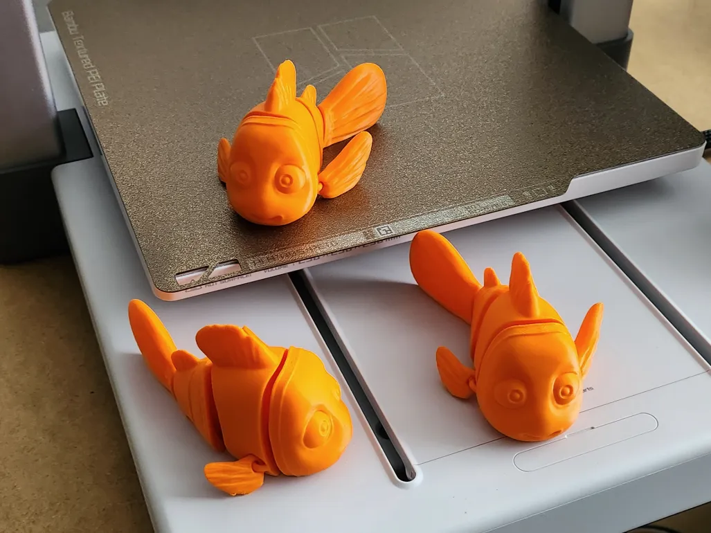 Flexi Clownfish view 2
