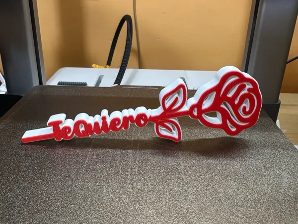 https://makerworld.bblmw.com/makerworld/model/US5c5c3acd6c1237/design/2025-01-24_79057119953bd.jpg