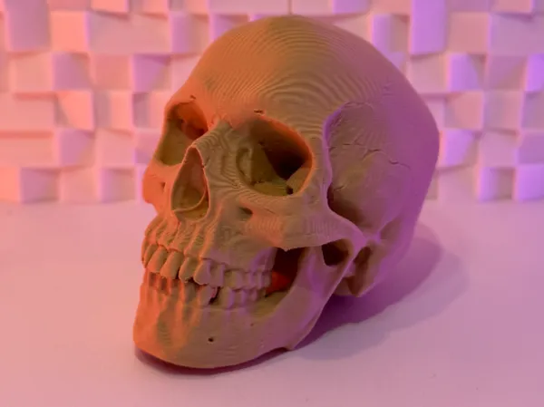 https://makerworld.bblmw.com/makerworld/model/US5c65902cf0233c/design/2025-11-02_f162ac00726008.jpg
