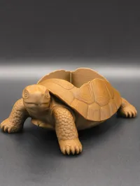 Tortoise BBW Soap Holder