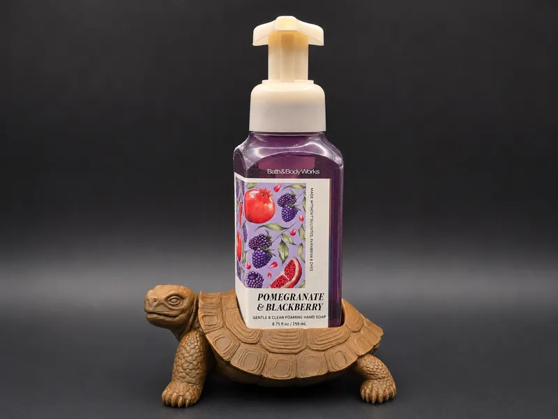 Tortoise Foaming Soap Holder