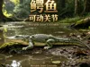 Standard Edition