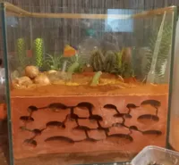 Insert de fourmilière (formicarium) — photo 2