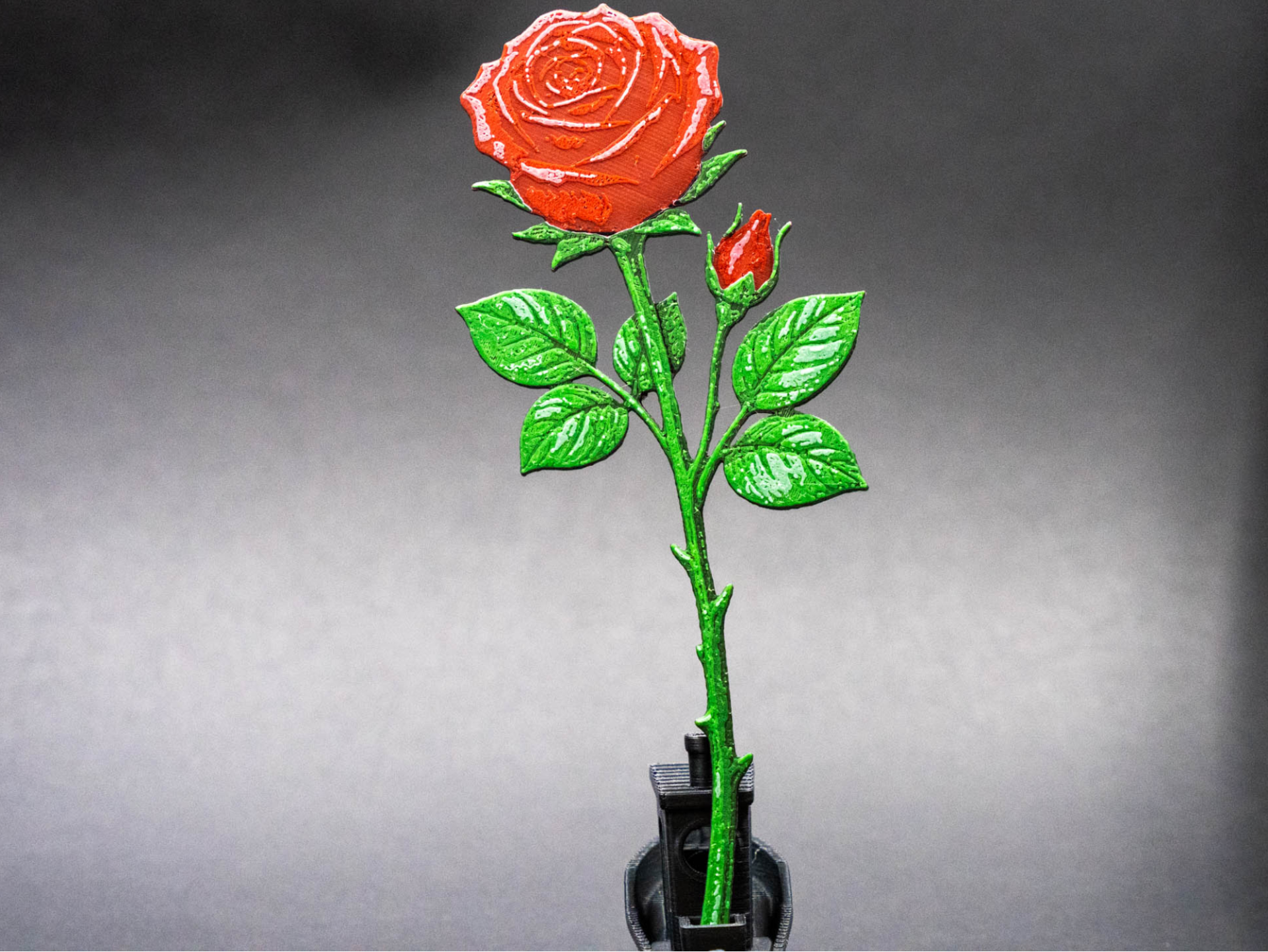Rose with Stem – Elegant Floral flower
