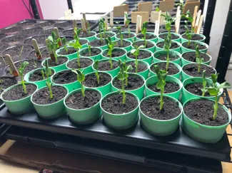 Quickpot 54R pot inlay