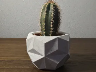 VaseTTo 1.3 - Minimalist Succulent Vase