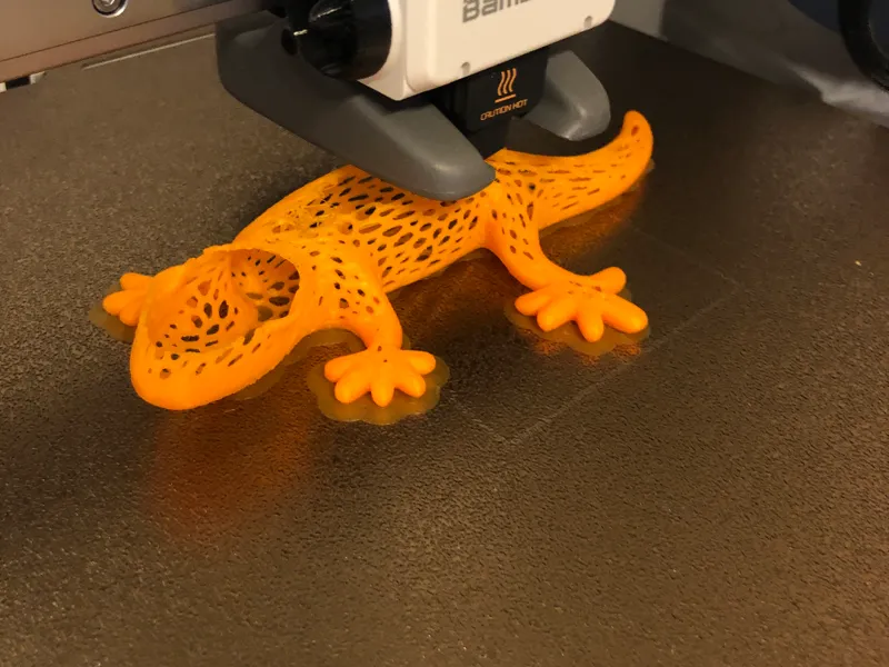 Lucky Geko
