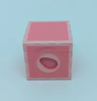 Egg Box and Key X1C