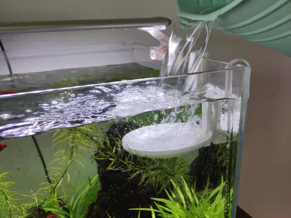 https://makerworld.bblmw.com/makerworld/model/US5c80aa52a17d20/design/2025-02-19_ee0a7d3539041.jpg