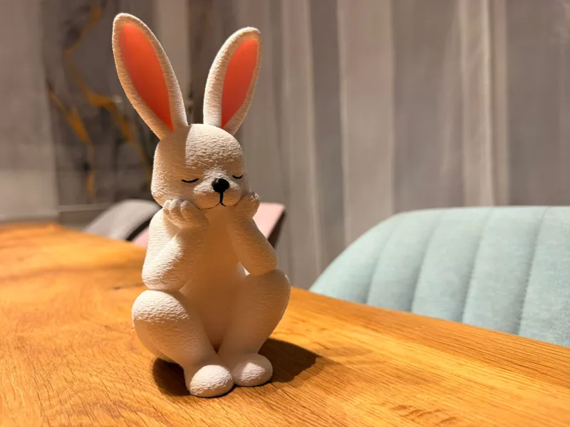 Dreamy Bunny