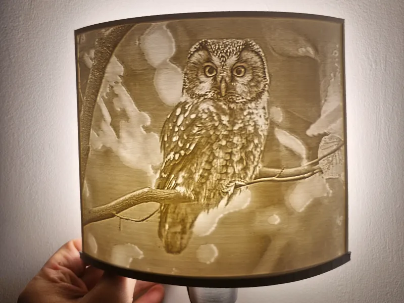 OWL Lamp for wall ( kinkiet )