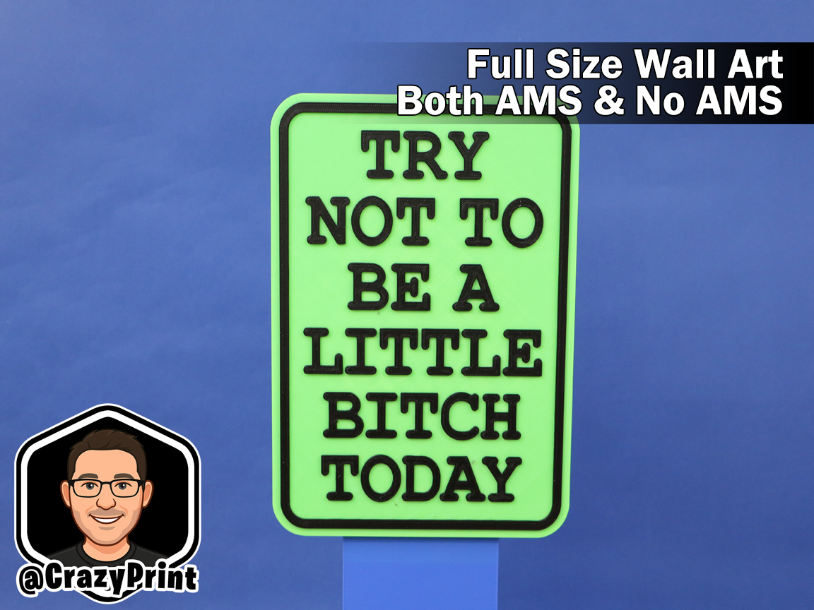 Funny Blunt Suggestion Sign / Wall Art -No AMS