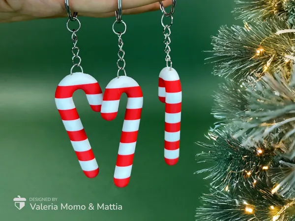 https://makerworld.bblmw.com/makerworld/model/US5c87d384806823/design/2024-12-04_d481a156573ca.png