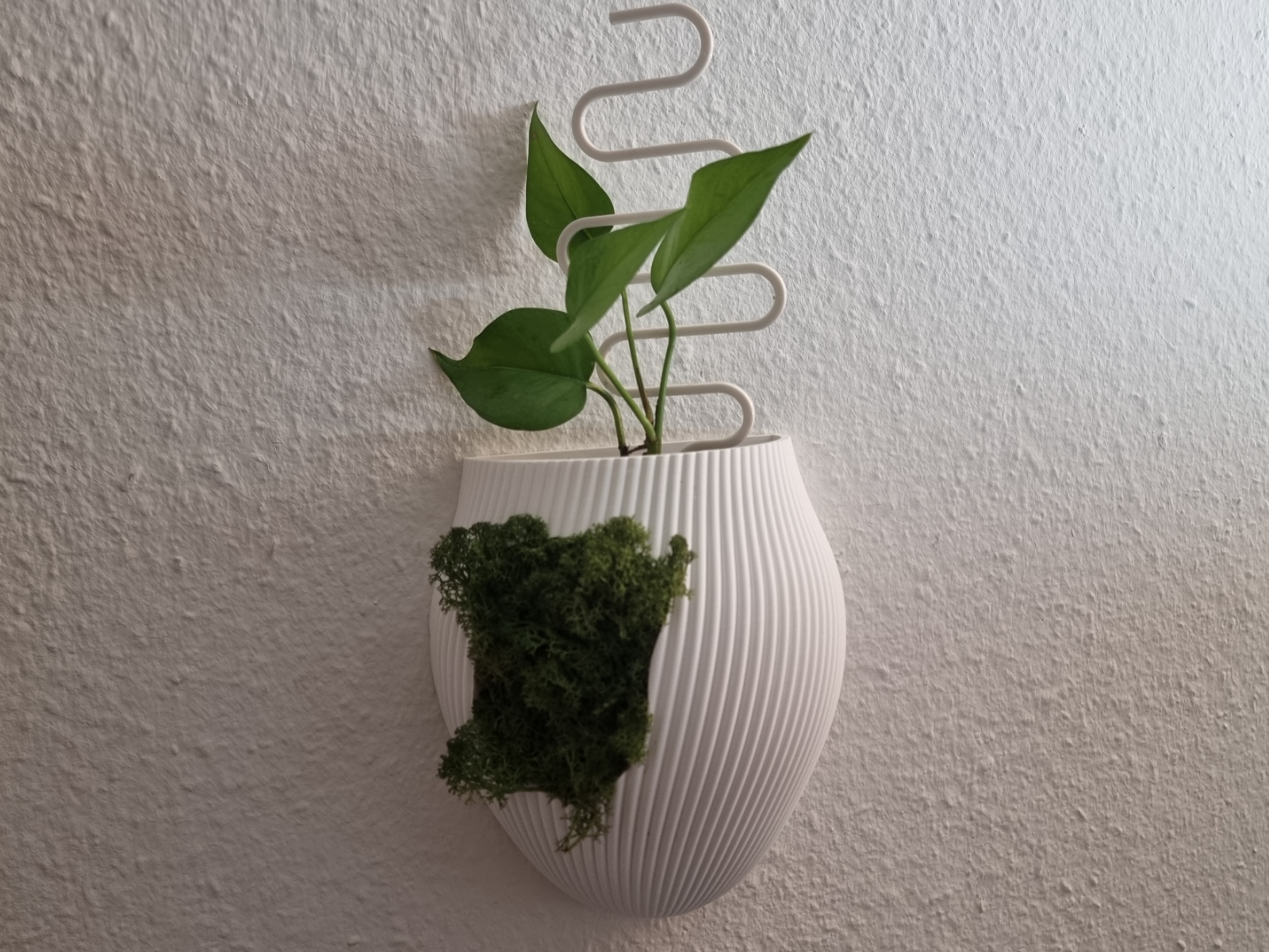 Wandvase mit Moos-Einsatz