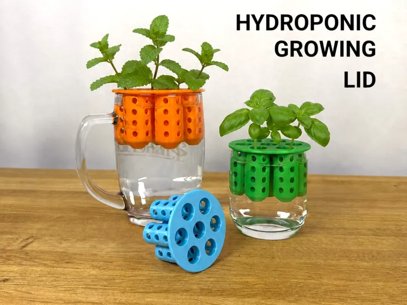 Hydroponic Growing Lid