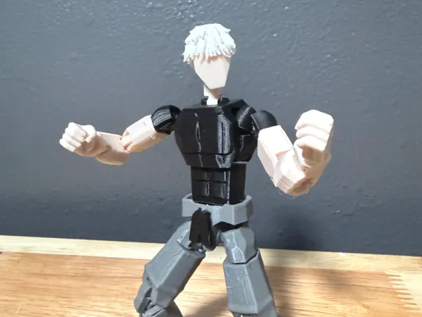 https://makerworld.bblmw.com/makerworld/model/US5c9fb8a39e35ce/design/a97f0aa3269277ee.jpeg
