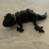 Articulate Gecko