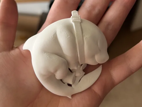 https://makerworld.bblmw.com/makerworld/model/US5cad3b23aa4c9c/design/2025-03-21_725a4d5c6fdd9.jpg