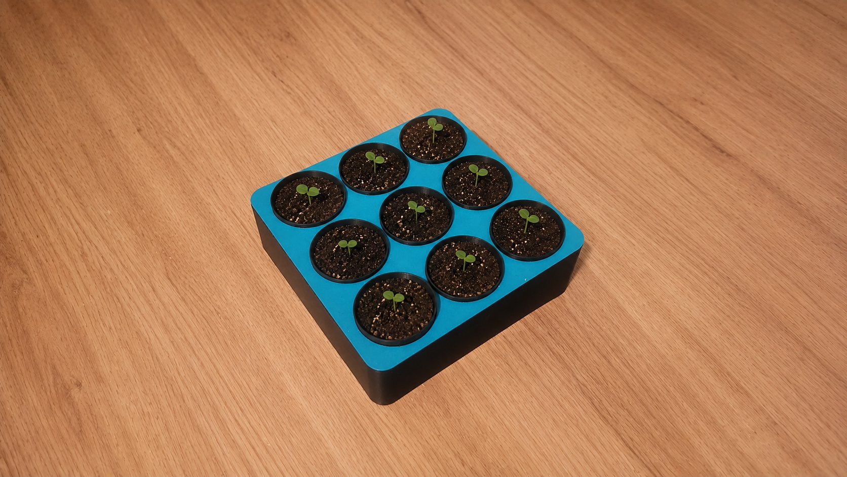 Miniatura 2 do modelo 3D Simple seed starter planter