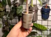 0.16mm layer, 1 walls, 0% infill