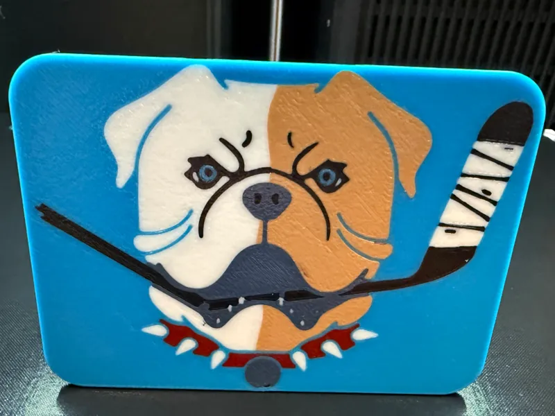 Six Color Shorsey Hitch Cover