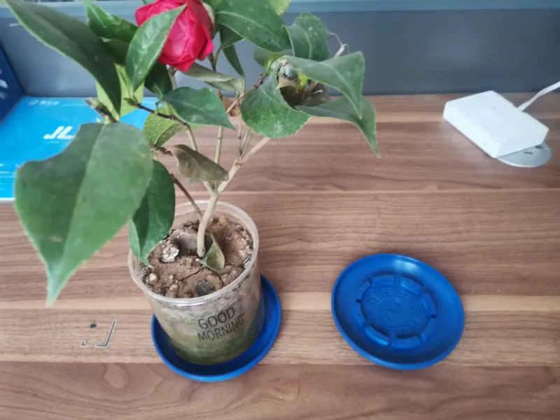 花盆托盘-八卦阵盘-底托-简约盘-Flower pot tray, Bagua array tray