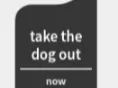 take the dog out