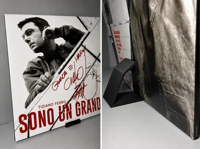 Universal Vinyl Record Holder Display