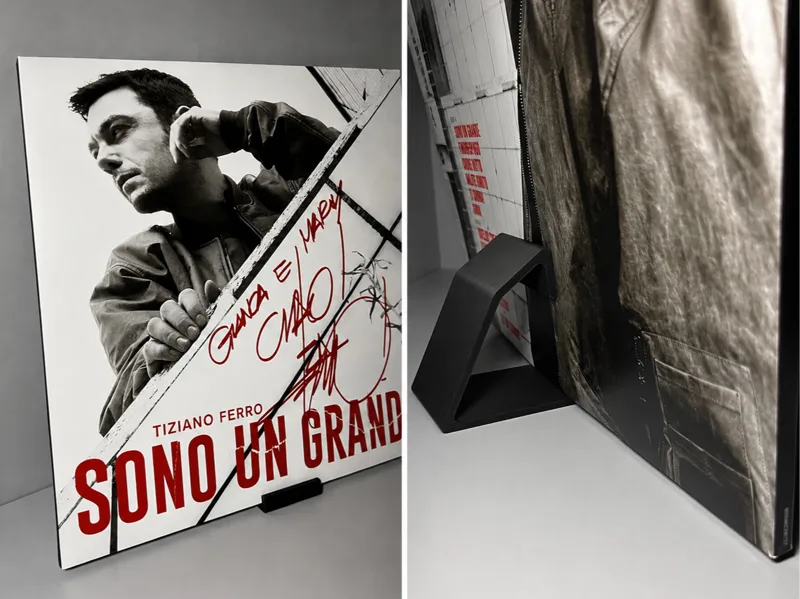 Universal Vinyl Record Holder Display