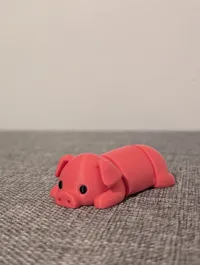Pig
