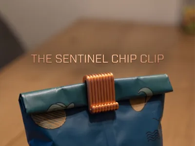The Sentinel Chip Clip