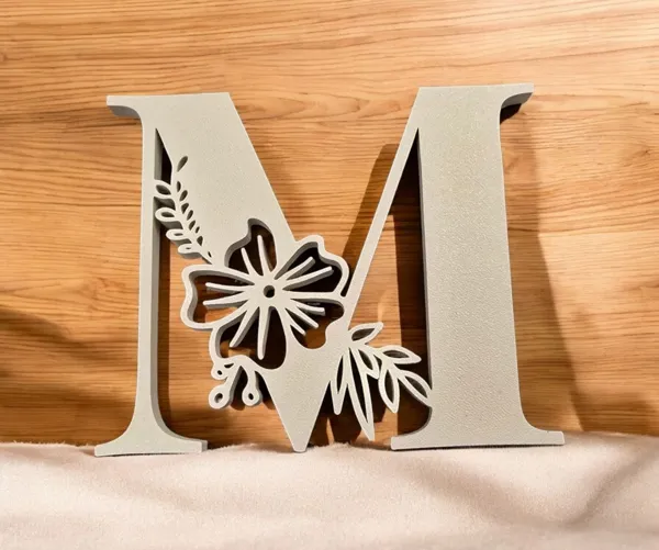 https://makerworld.bblmw.com/makerworld/model/US5ccc23d188dc23/design/2025-01-09_b1cd98ebd4d65.jpg