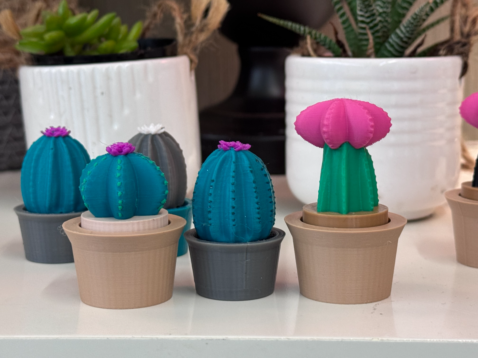 Set of three succulent fidget clickers