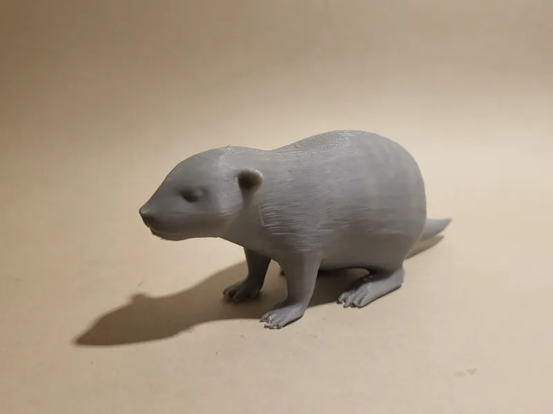 Groundhog