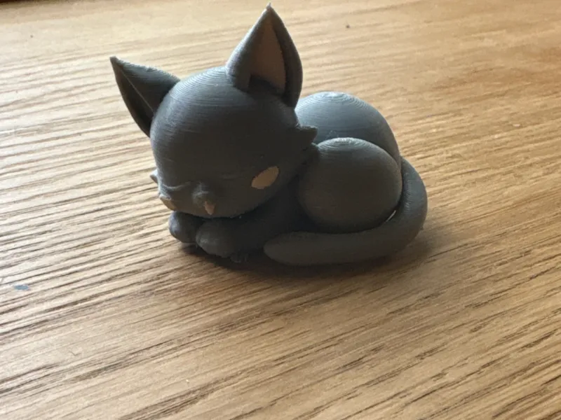 baby cat