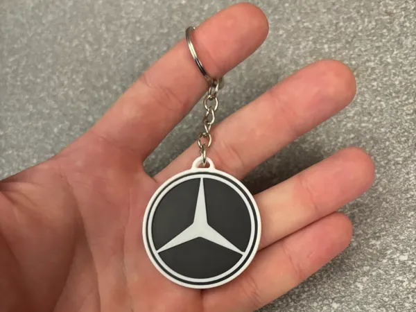https://makerworld.bblmw.com/makerworld/model/US5cd2519a6ed5e5/design/2024-11-24_c3ef02f0fa715.jpeg