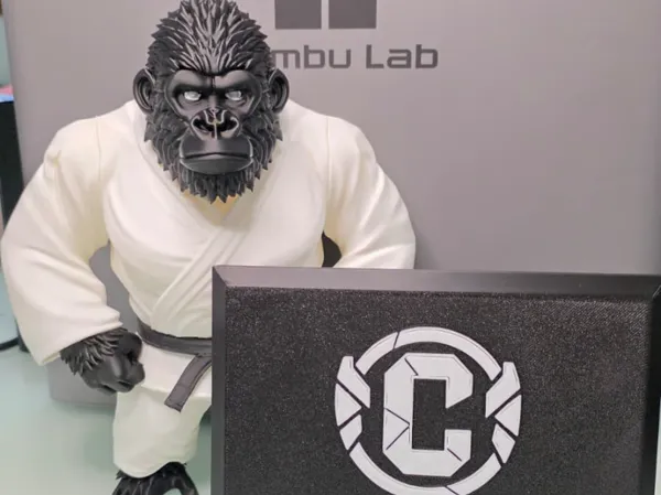 https://makerworld.bblmw.com/makerworld/model/US5cd4fa62a08e1c/design/d3ef7f768ebae735.jpeg