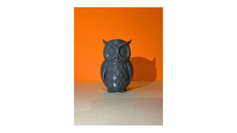 Owl