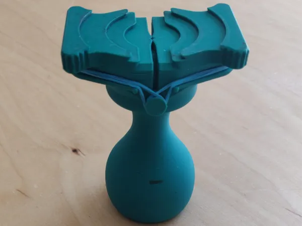 https://makerworld.bblmw.com/makerworld/model/US5ce436c2e4b9d9/design/448109a10f2346db.jpeg